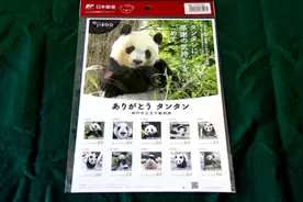 旅日20年熊猫将回国，日本用这种方式“让它永远留下”图片