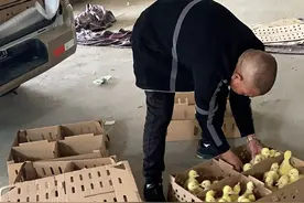 鸡苗死亡起纠纷 市监调解化矛盾图片