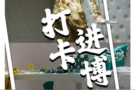 打卡进博会④丨意大利贝雕大师的进博奇遇记图片