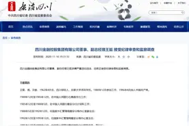 四川金融控股集团有限公司董事、副总经理王挺 接受审查调查图片