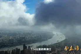 30年巨变，是城市自身突围，更是融入世界经济的开放之举图片