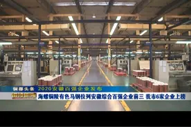 海螺铜陵有色马钢位列安徽综合百强企业前三 我市6家企业上榜图片