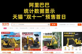 中国财富报道|“双十一”爆款竟是它 全年销量或创历史新高视频封面