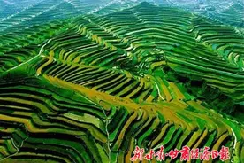 【中省媒体看平凉】平凉：为青山绿水金山银山作答图片