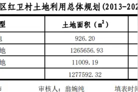 投资195亿！广州红卫村拆迁，指定A股6000亿身家房企图片