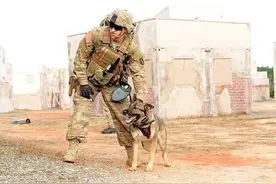 想尽办法也要带狗子回家！士兵与退役军犬之间的友情也太暖了图片