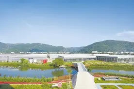 一山一海共携手 闯出“浙里”协调发展新空间图片