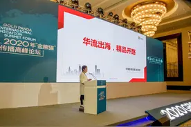 观点②丨华策影视创始人赵依芳：主旋律题材电视市场化方式走出去图片