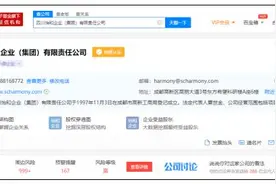 又是高利贷惹的祸！成都银行7200万股强制拍卖背后 四川民企巨头的滑铁卢……图片