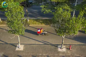 镜像海南｜老陆的快递路图片