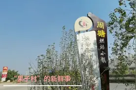 “果子村”的新鲜事图片