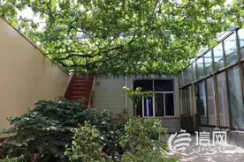 用美丽庭院富裕口袋 胶州农家小园创出600万经济效益图片