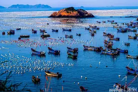 黄海、渤海、南海或统一至9月16日结束休渔期？能吃到更多的带鱼、黄鱼、鲳鱼了图片