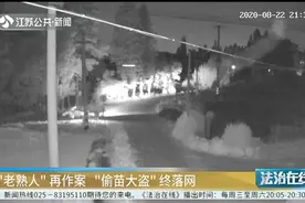 江阴：曾偷盗3万多颗草莓苗，盗窃团伙再作案后被民警抓住！视频封面