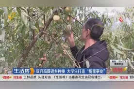 放弃城市高薪工作，菏泽大学生返乡当果农，种桃3年带动村民致富视频封面
