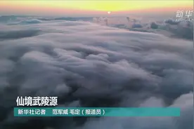 仙境武陵源视频封面
