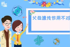 科画丨父母遗传作用不对等，运动能力或随妈视频封面