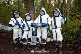 美国摧毁第一批杀人大黄蜂巢穴，其中有将近200只蜂后图片
