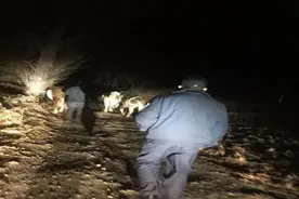 牛丢了？别急！民警和你一起找图片