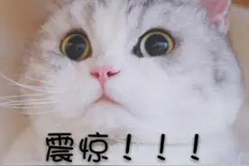 如果“领导”让你转账，你转不转？图片