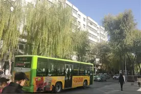 立冬了为何树叶还没落完图片