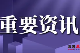 意大利黑手党命令救护车停止鸣笛：声音太像警车，容易吓到毒贩和买主图片