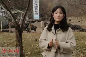 “美女猪倌”张志远：我没有退路 只有坚持做得更好图片