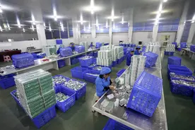 重庆三峡库区从“中华药库”里探寻脱贫致富“良方”图片