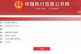 努比亚技术有限公司成被执行人，执行标的超185万图片