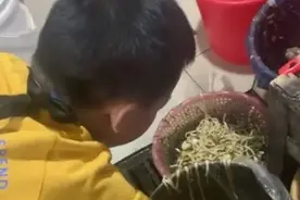 抱怨读书苦，妈妈罚孩子泔水桶捡面条 网友吵翻，有专家表示支持图片