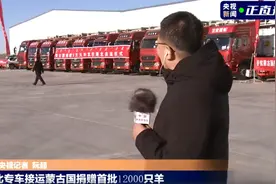 羊来啦！12000只羊加工后正运往武汉，网友：孜然和辣椒已备好图片