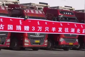 蒙古国赠羊首批1.2万只加工后运往武汉，预计11月15日抵达图片