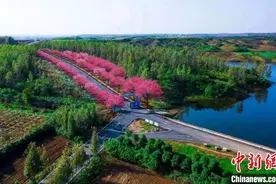 湖北襄阳打造“一号旅游公路”串起“四带十景”图片