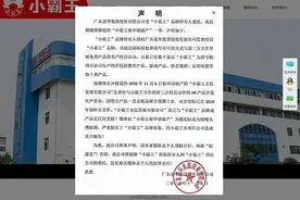 小霸王申请破产？官网：彼“小霸王”与本公司无任何关联图片