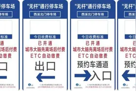 西湖西溪景区试行无杆停车模式图片