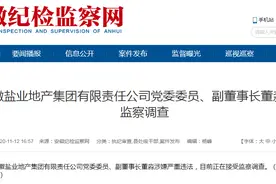 安徽盐业地产集团有限责任公司副董事长董淼接受监察调查图片