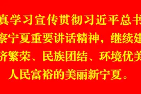 一线微观 ▏前车之鉴，竟未成后事之师！图片