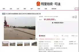买买买，成交5.8个亿！南京法院司法拍卖“双十一成绩单”出炉图片