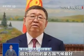 价值超3000万元，蒙古国赠羊发货了！首批1.2万只已屠宰加工运往湖北，过程还要拍成纪录片图片