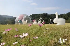 客天下国际旅游度假区试业，广州从化打造“桃花源”森林氧吧图片
