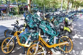 密集恐惧症慎入！光谷金融港共享单车泛滥成灾图片