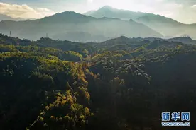 浙江景宁：瓯江小溪景色美图片