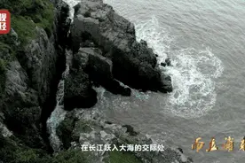 这个神秘小岛，上海本地人都不一定知道！它每年“看见”的集装箱，可绕地球3圈图片