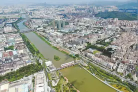 茅洲河之变图片