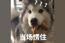 失望！浙江一姑娘下血本花5万做隆胸手术，一看效果欲哭无泪...图片