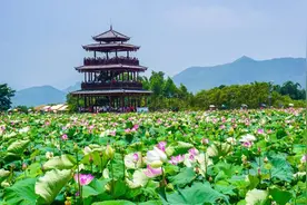 “天下第一情书”图片