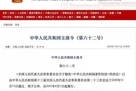 全文来了！新修订的《中华人民共和国著作权法》自2021年6月1日起施行图片