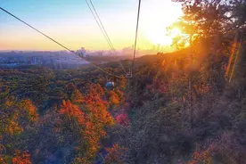 行摄紫金山！请看油画版效果的南京美景图片