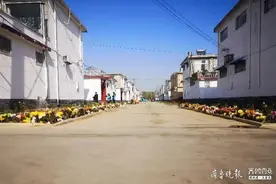 有了脱贫攻坚“助推器”，临沂罗庄盛庄街道致富路越走越宽图片