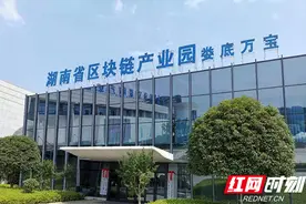 破解链城密码——娄底区块链产业招商引资侧记图片